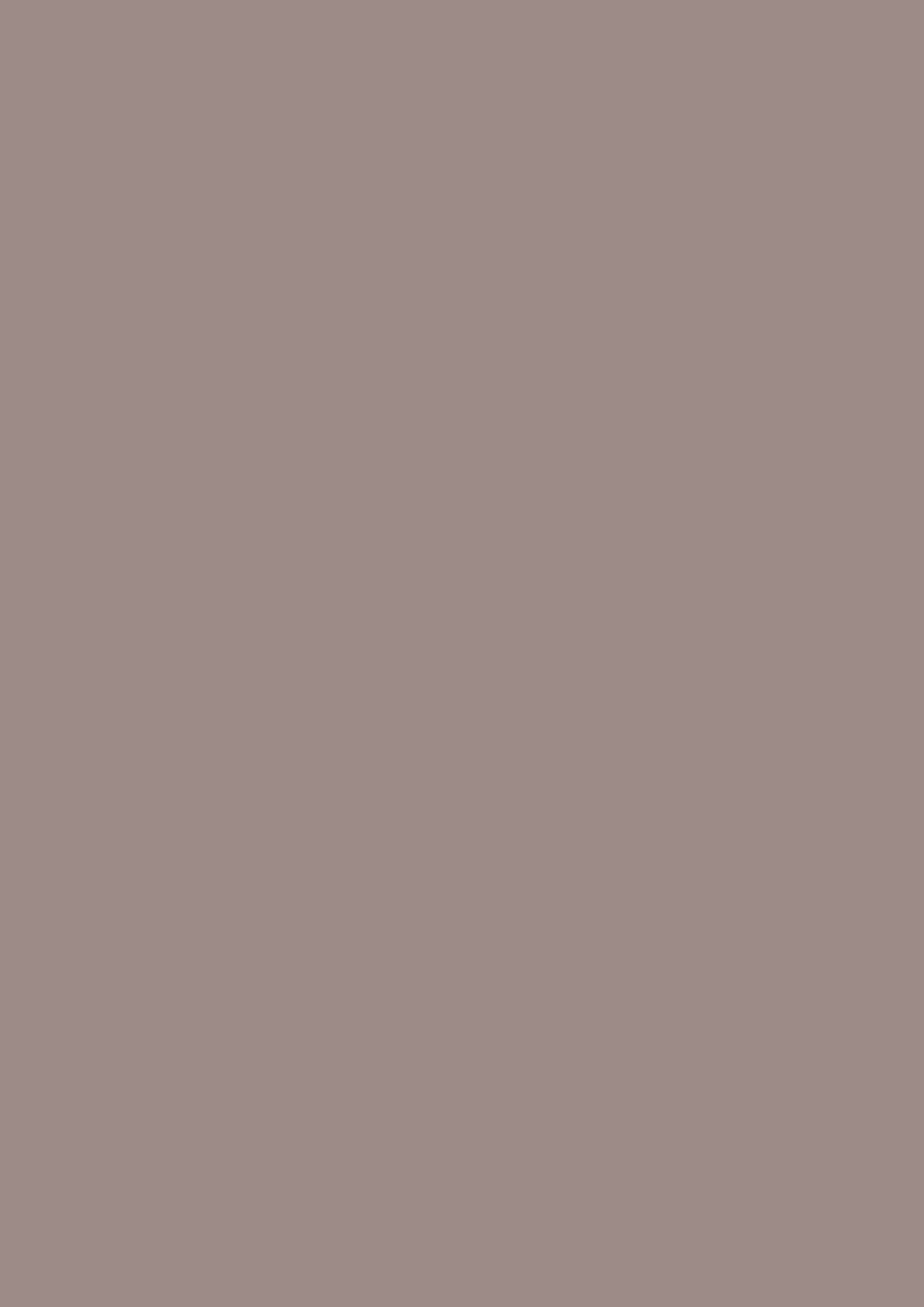 Charleston Gray Nr. 243 Farrow and Ball ADLER Wohndesign
