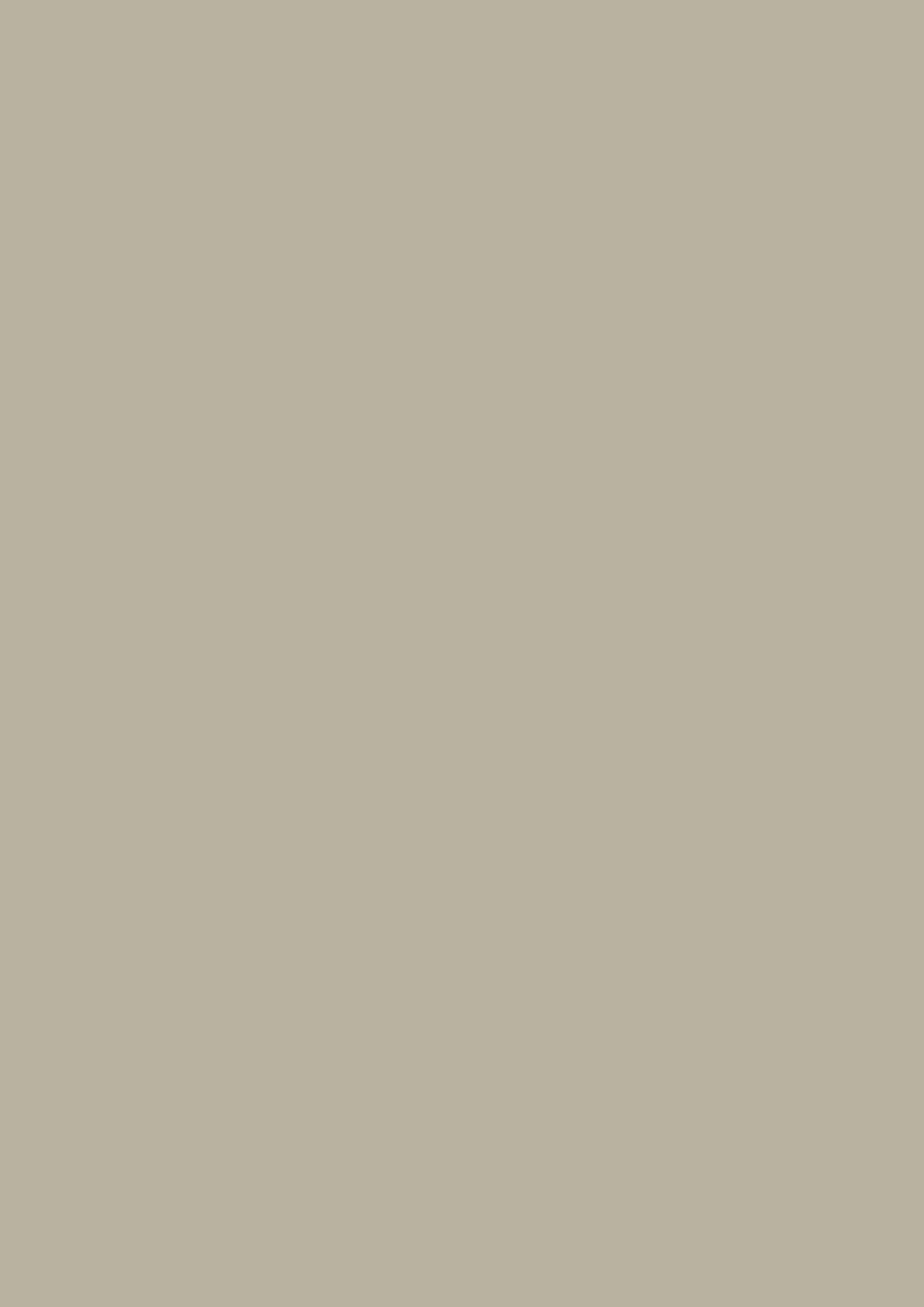 Light Gray Nr.17 Farrow and Ball ADLER Wohndesign